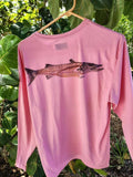 Barracuda