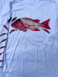 Mutton Snapper With Bait Fish