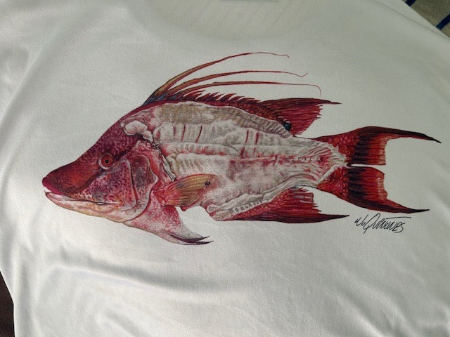 Hog Snapper