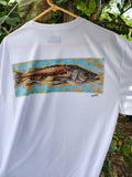 Snook